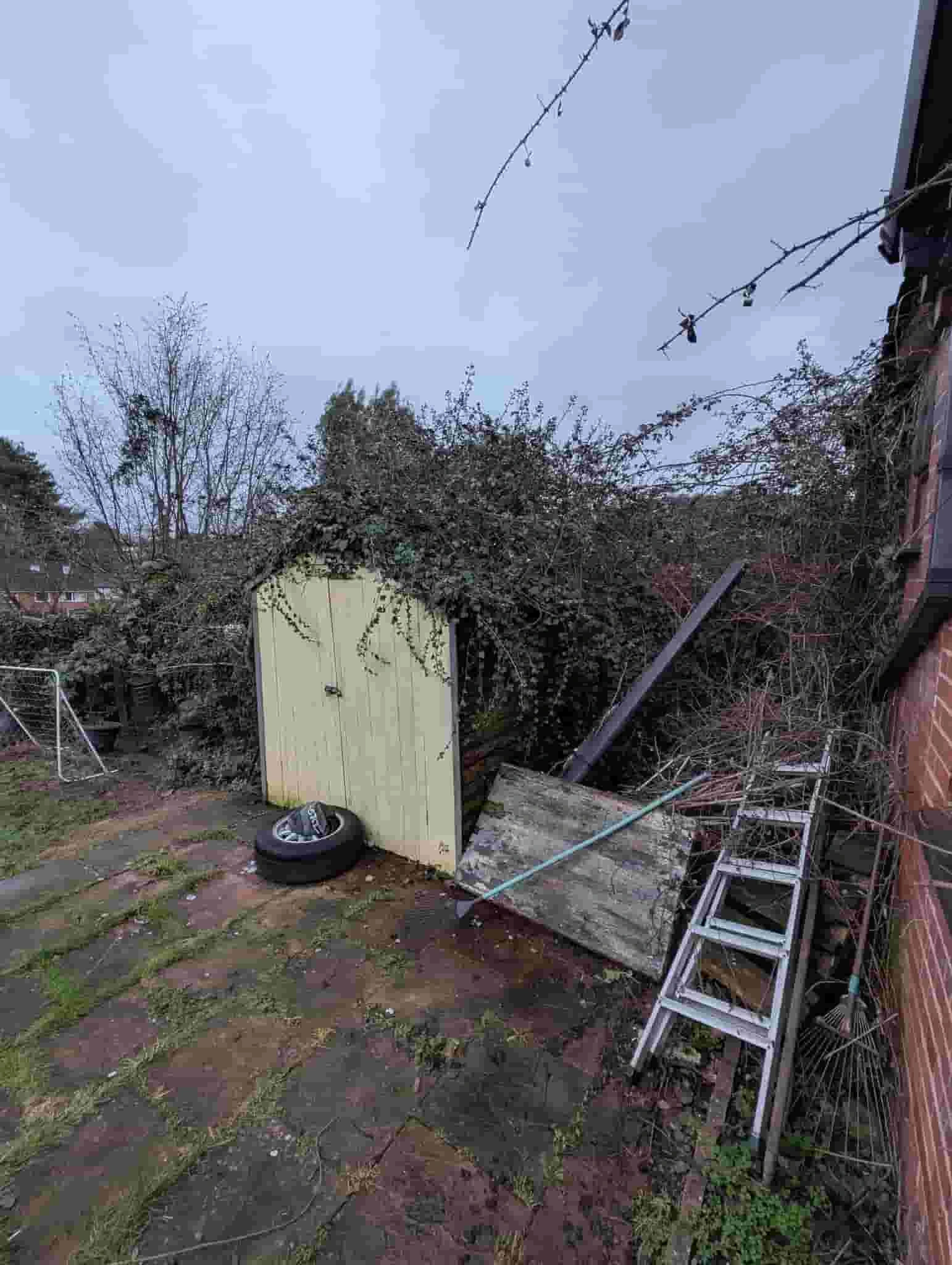 Garden Clearance