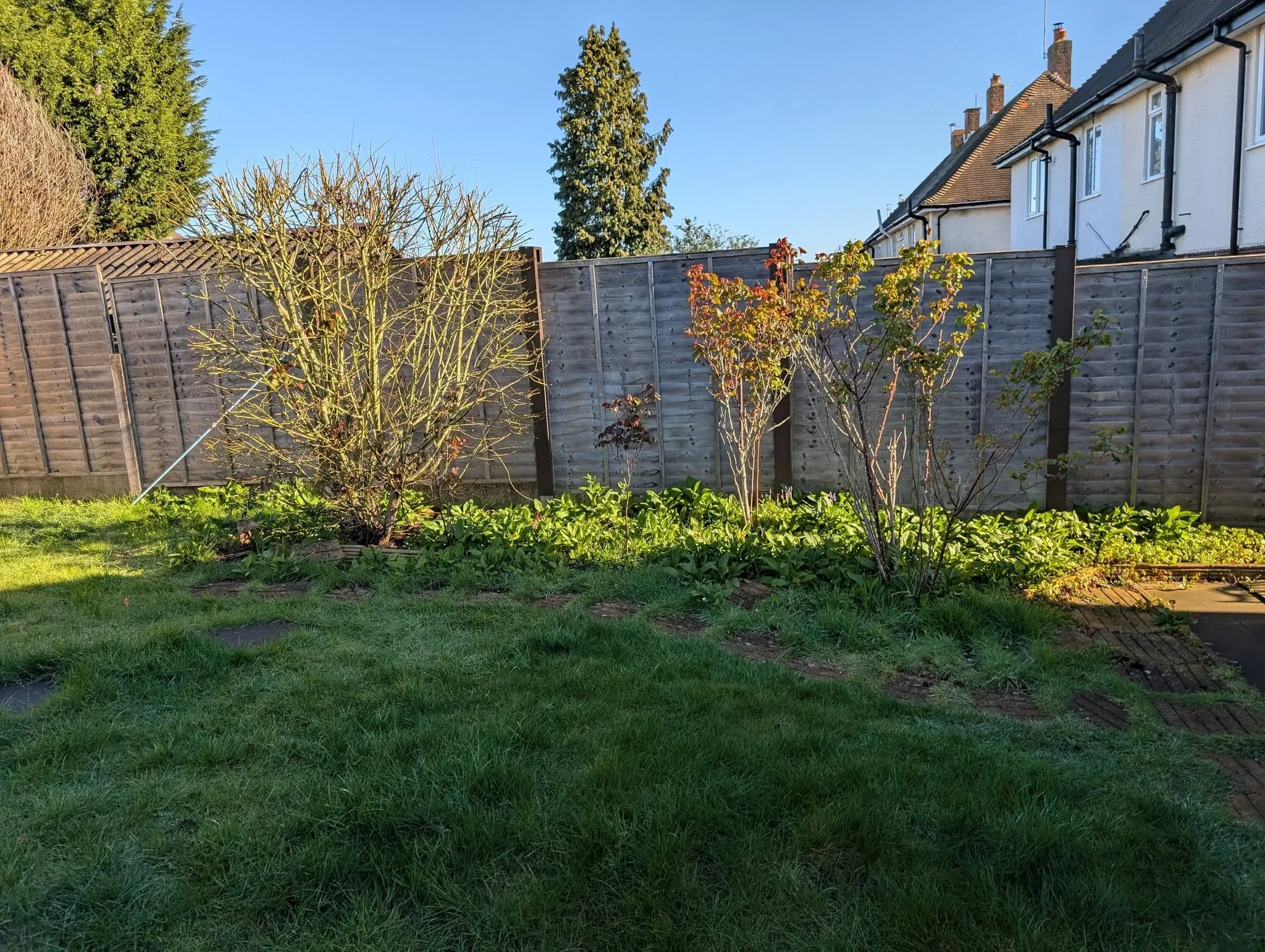 Garden Renovation Stourbridge Part 1 Before