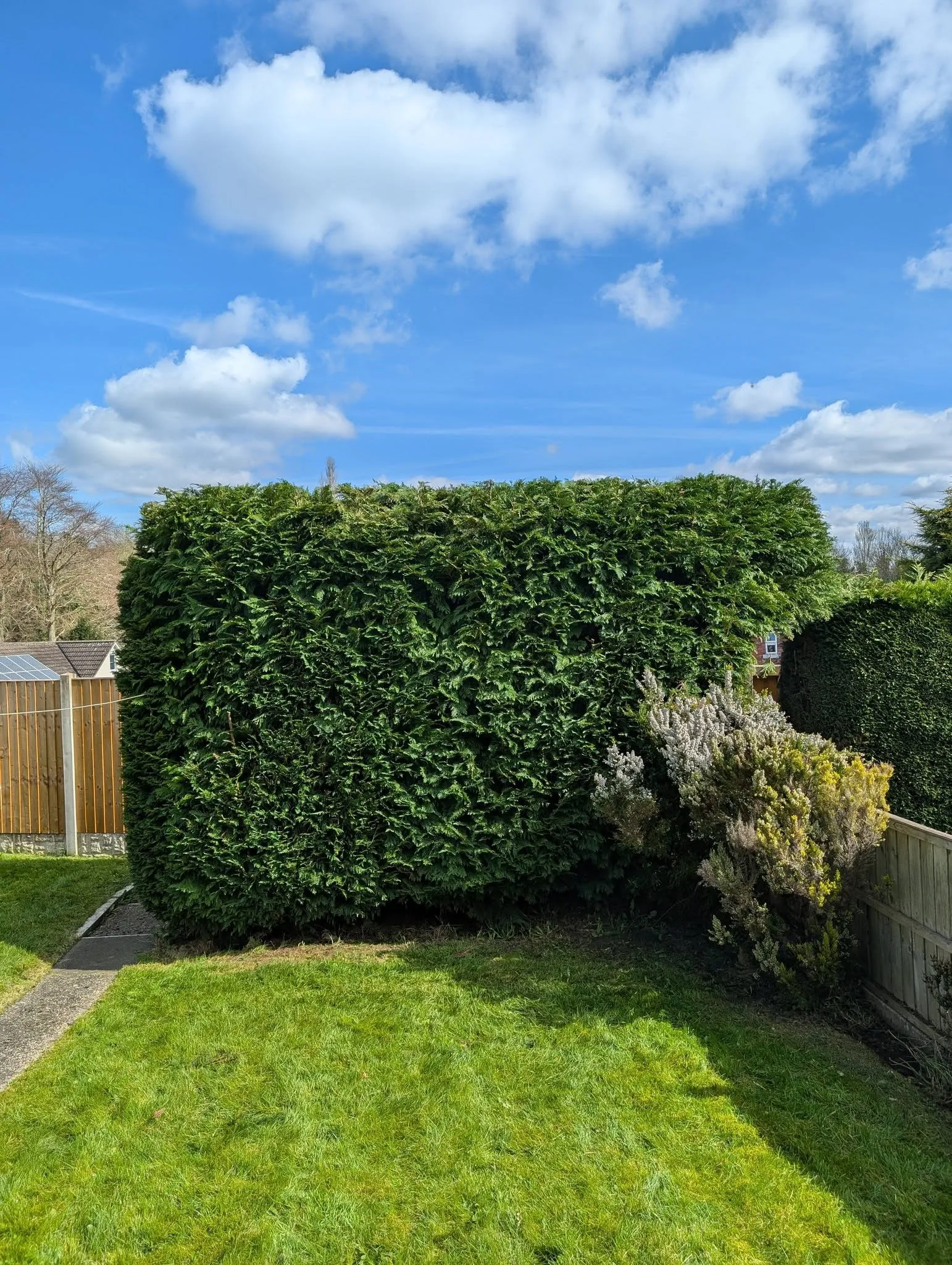 Hedge Cutting Stourbridge After