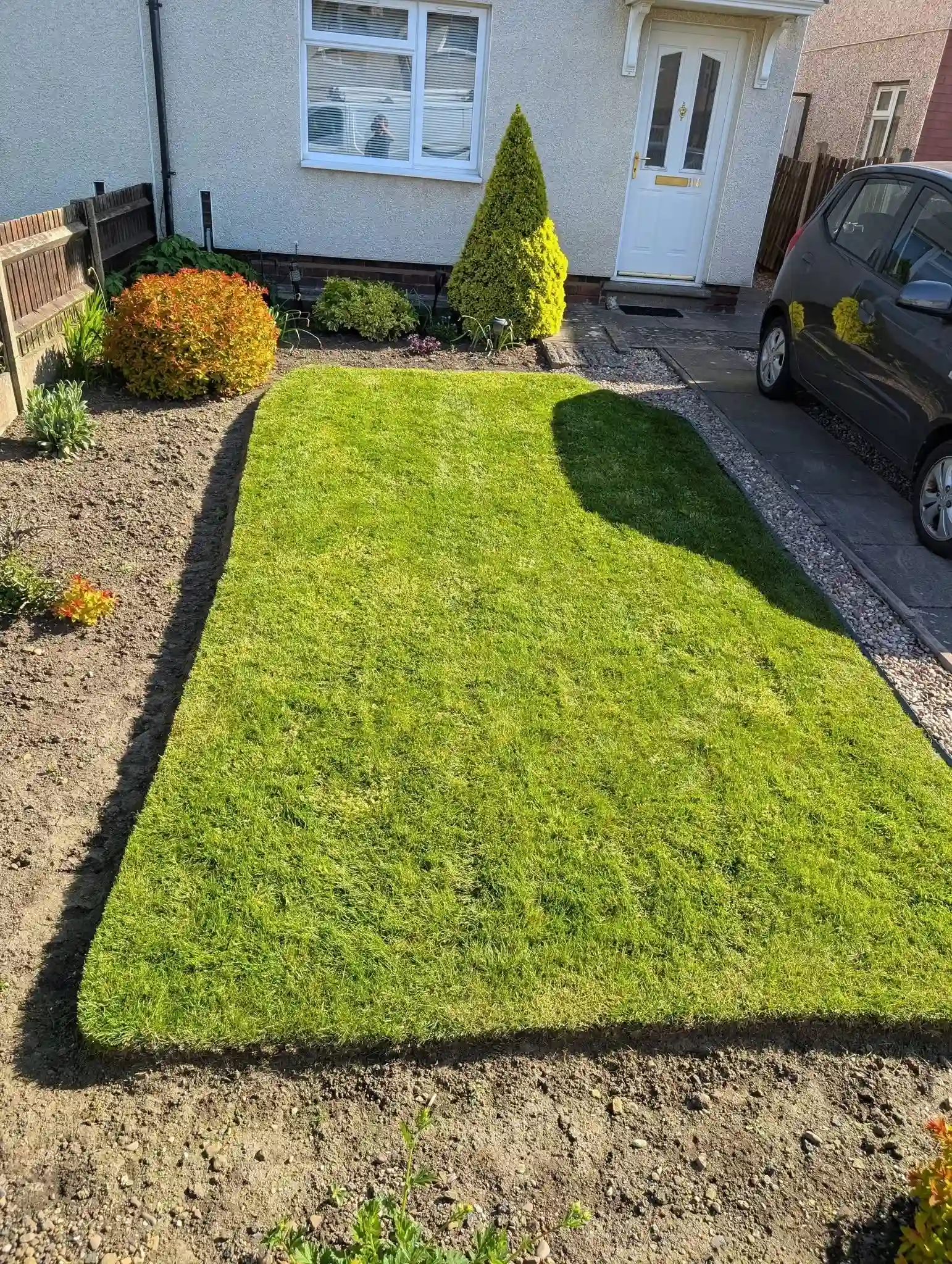 Lawn Care