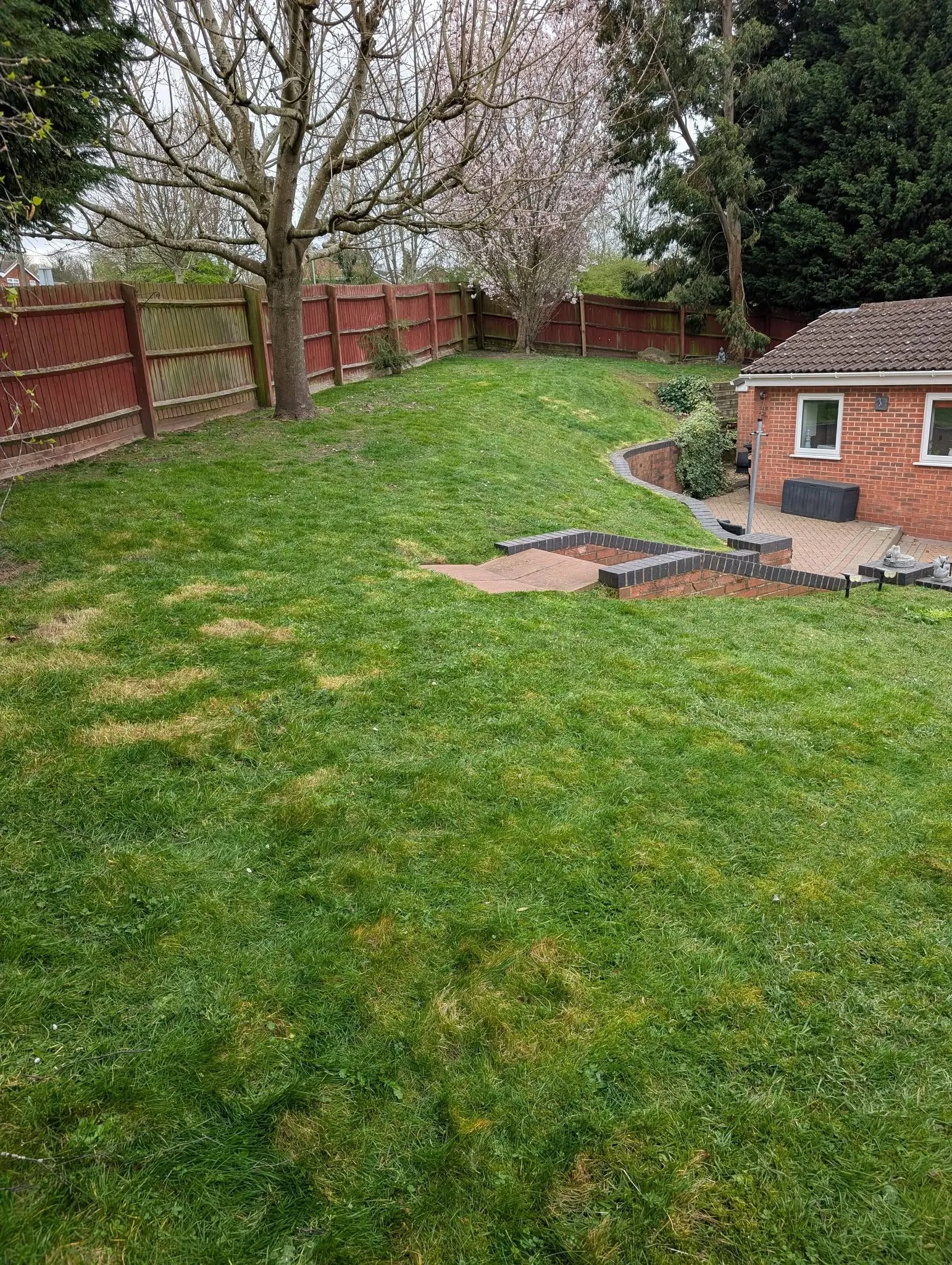 Lawn Cutting Brierley Hill After