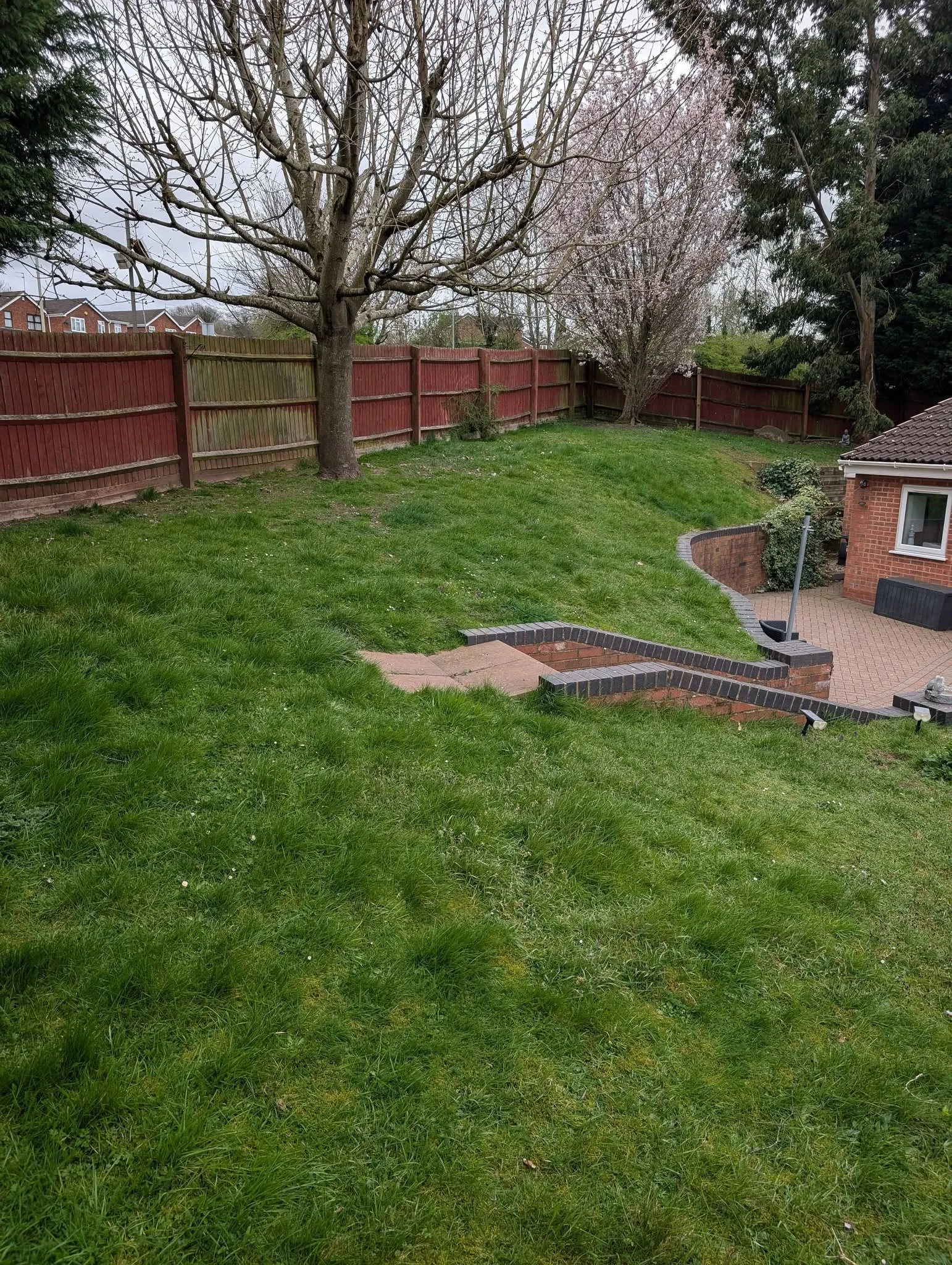 Lawn Cutting Brierley Hill Before