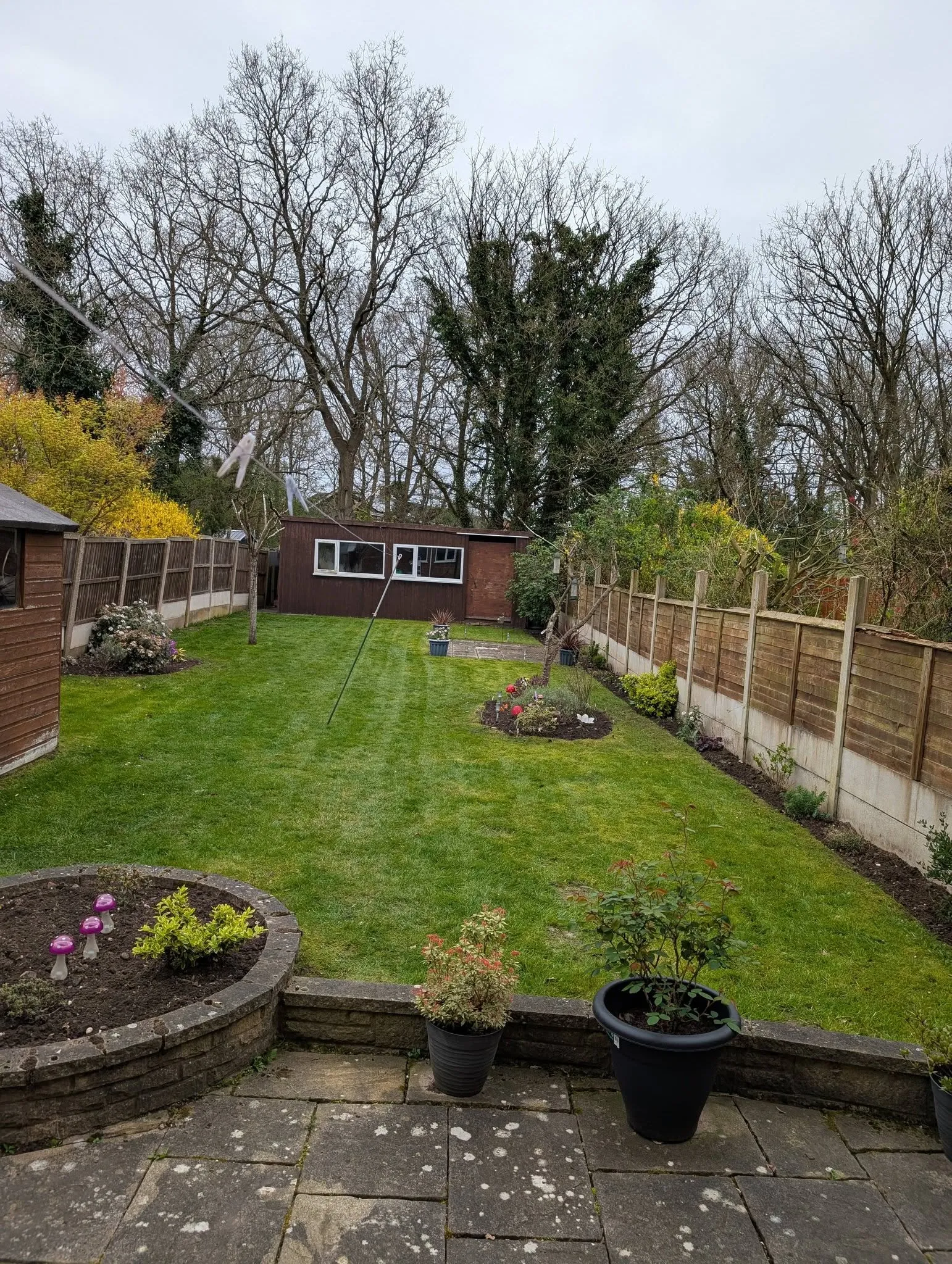 Lawn Cutting Kingswinford