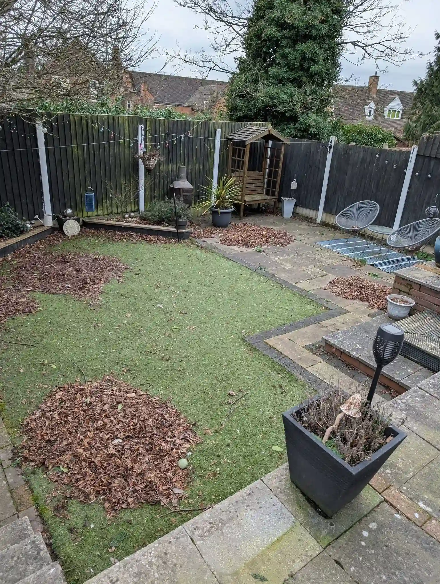 Leaf Clearance